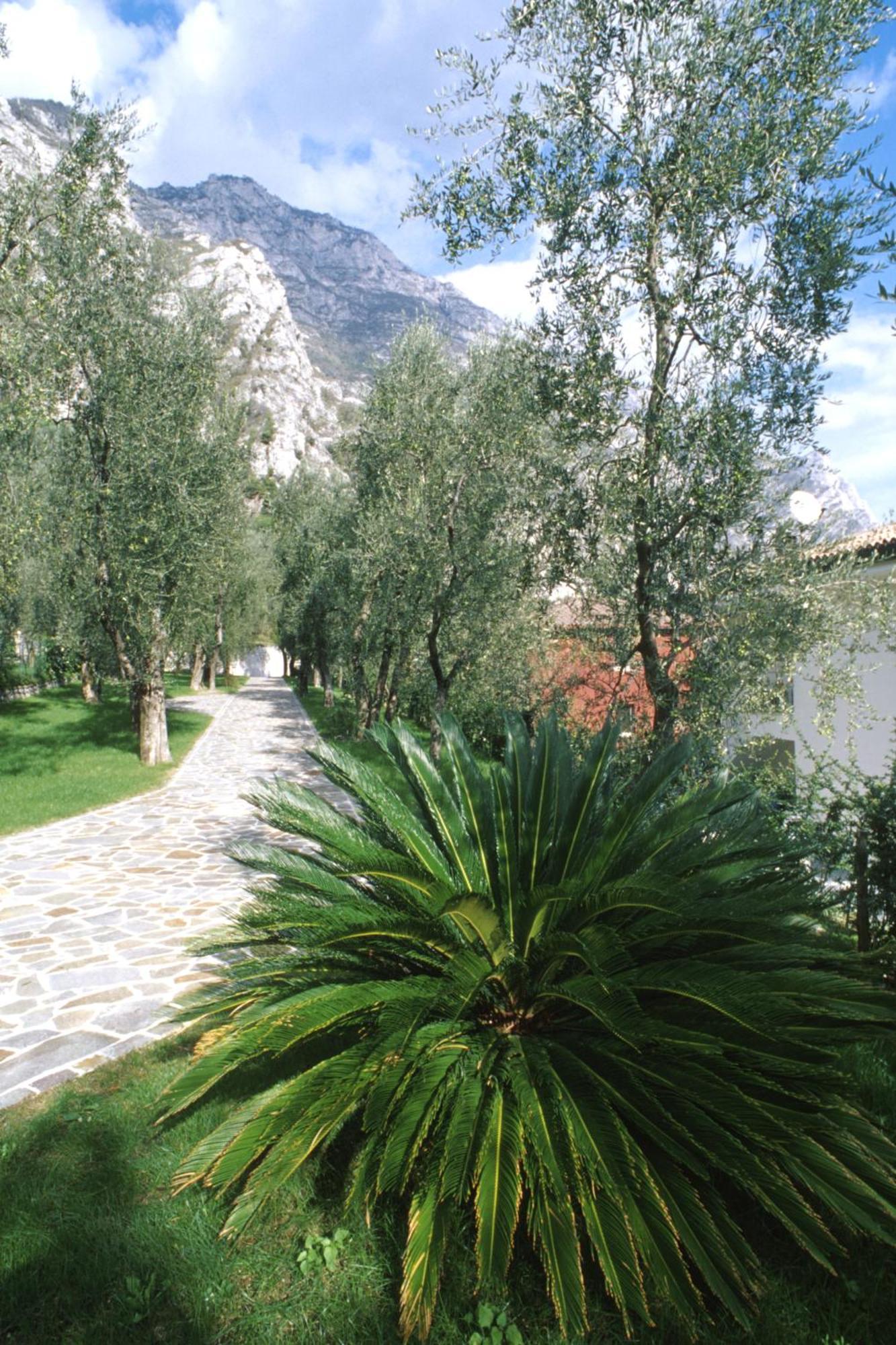Hotel Ilma Lake Garda Resort リモーネ・スル・ガルダ エクステリア 写真