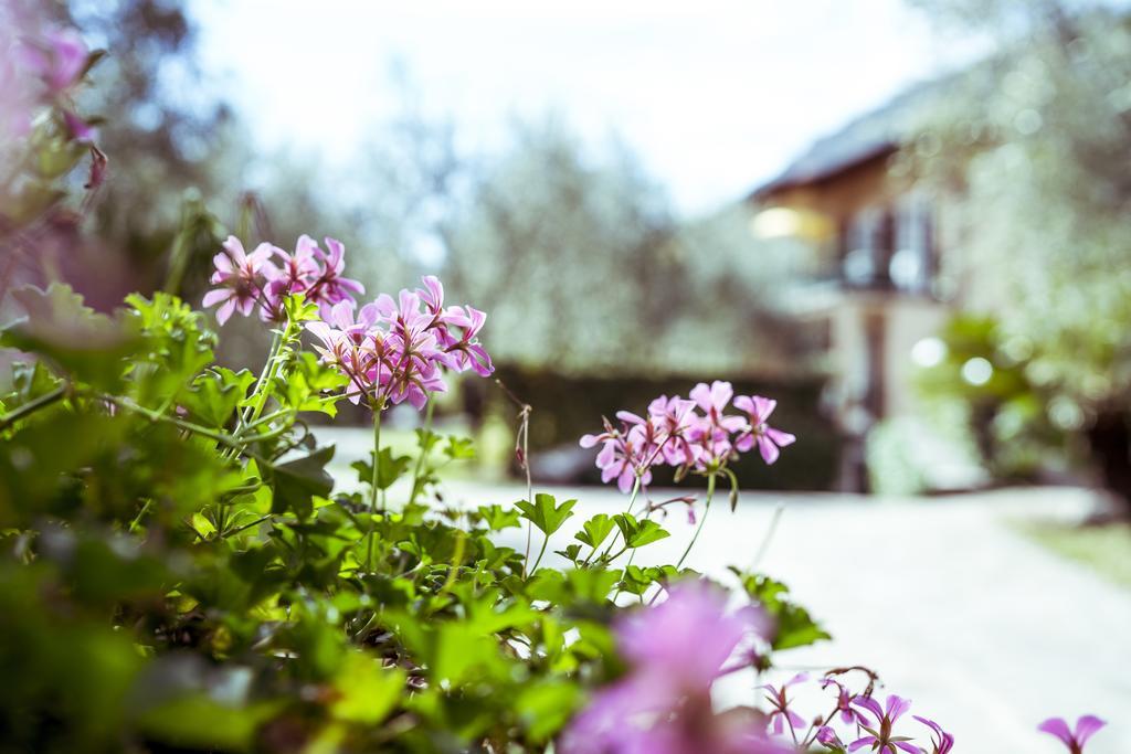 Hotel Ilma Lake Garda Resort リモーネ・スル・ガルダ エクステリア 写真